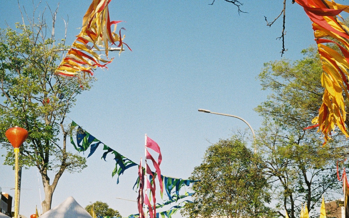 Foto bij Vierdaagsefeesten met persoonlijk blokkenschema