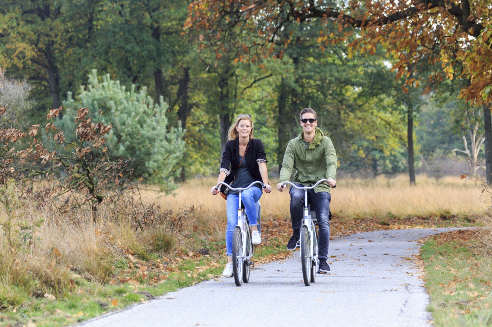 Foto bij Nationaal Park De Hoge Veluwe