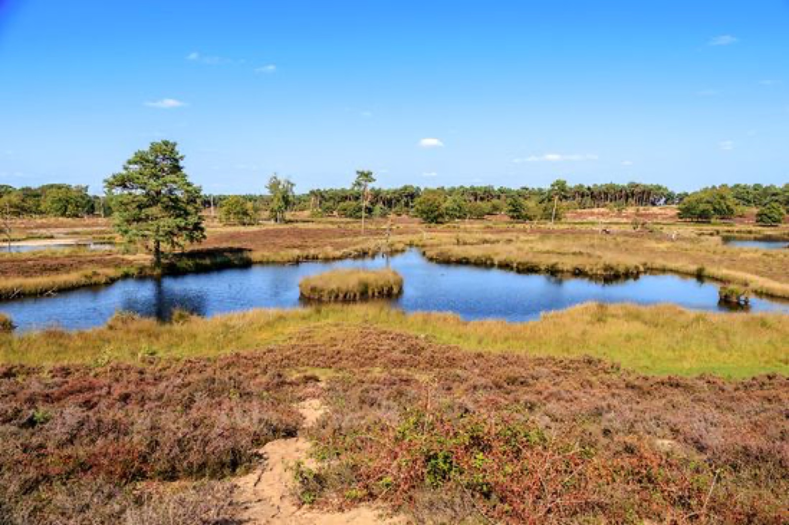 Foto bij Wandeling Hatertse en Overasseltse Vennen