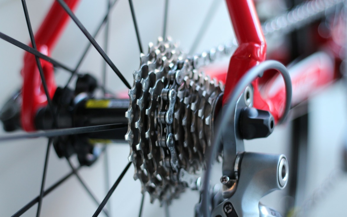 Foto bij Fietscheck en korte fietstocht
