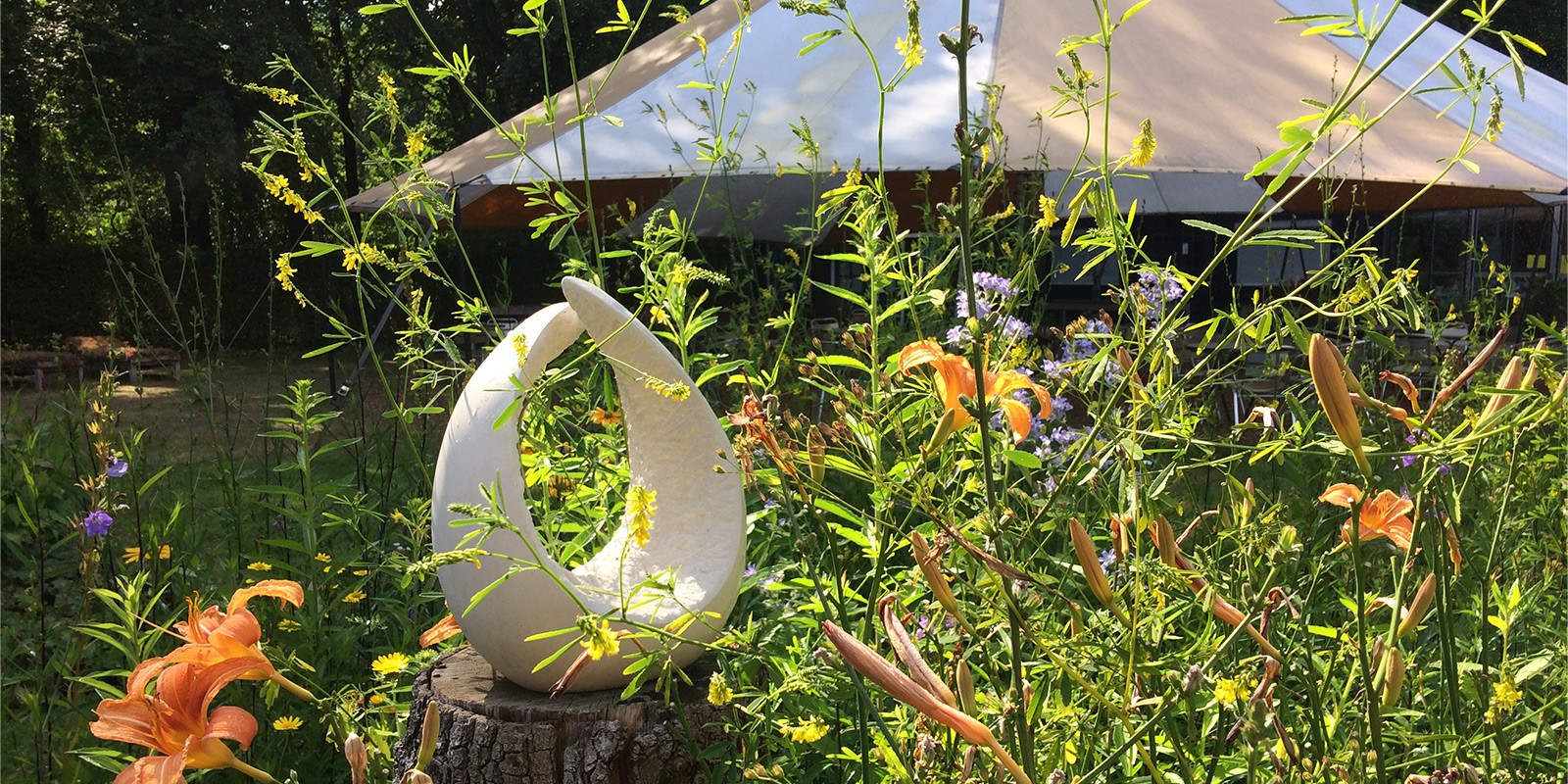Groene botanische tuin van Hortus Nijmegen
